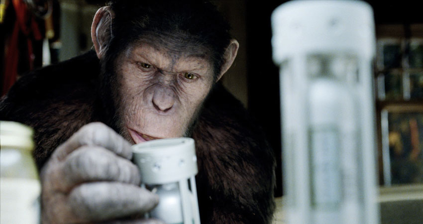 c doyle rise planet apes 03